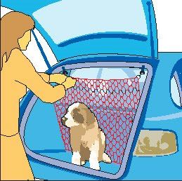 red perro coche