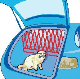 reja perro coche