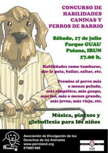 Habilidades caninas Irun