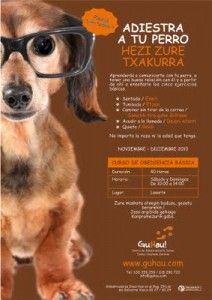 adiestramiento canino