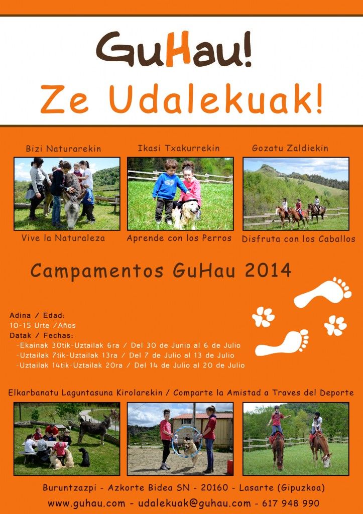 campamentos con perros y caballos