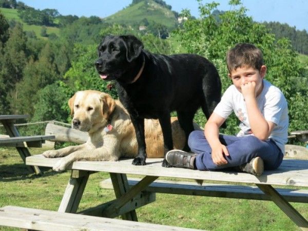 Teatro, actividades con perros y niños