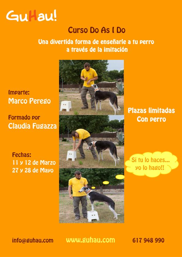 Curso aprendizaje por Imitación