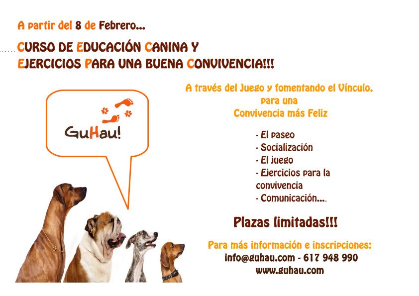Curso para perros