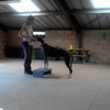 Lourdes y Emir Lourdes y Emir • <a style="font-size:0.8em;" href="http://www.flickr.com/photos/115110532@N02/33330287351/" target="_blank">View on Flickr</a>