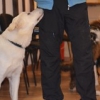 Grupo Cachorros Marzo 2014_2 Grupo Cachorros Marzo 2014_2 • <a style="font-size:0.8em;" href="http://www.flickr.com/photos/115110532@N02/13116598343/" target="_blank">View on Flickr</a>