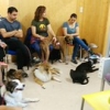 Charla sobre la dominancia Charla sobre la dominancia • <a style="font-size:0.8em;" href="http://www.flickr.com/photos/115110532@N02/28692091184/" target="_blank">View on Flickr</a>